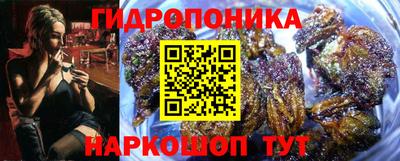 трава Сланцы